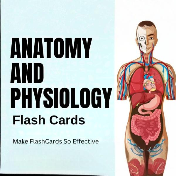 anatomy & physiology flashcards