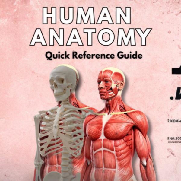 human anatomy quick reference guide