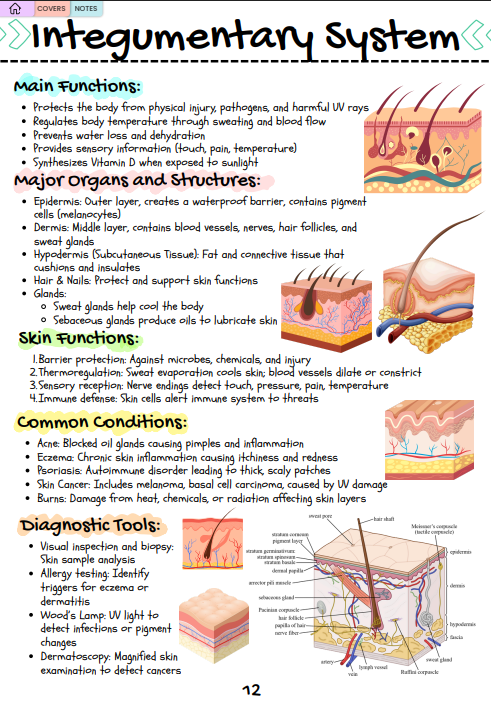 bonus a&p case study